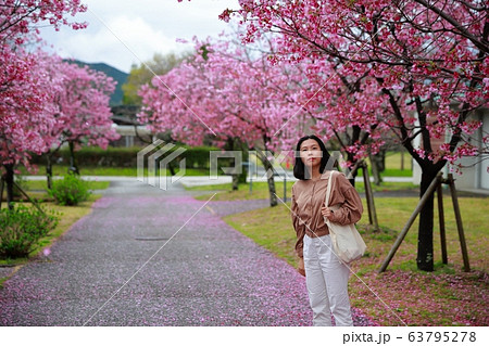 陽光桜 陽光桜 63795278