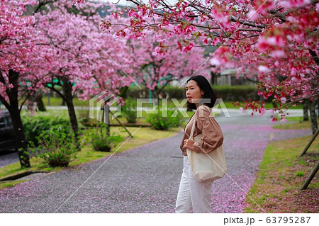陽光桜 陽光桜 63795287