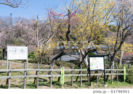 高尾山 裏高尾 旧甲州街道 小仏関跡 高尾山 裏高尾 旧甲州街道 小仏関跡 63796901