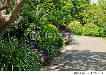 横浜市児童遊園地 横浜市保土ヶ谷区の写真素材