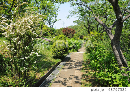 横浜市児童遊園地 横浜市保土ヶ谷区 横浜市児童遊園地 横浜市保土ヶ谷区 63797522