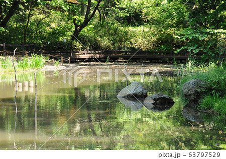 横浜市児童遊園地 横浜市保土ヶ谷区 横浜市児童遊園地 横浜市保土ヶ谷区 63797529