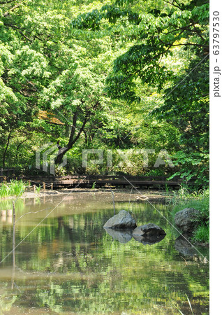 横浜市児童遊園地 横浜市保土ヶ谷区 横浜市児童遊園地 横浜市保土ヶ谷区 63797530