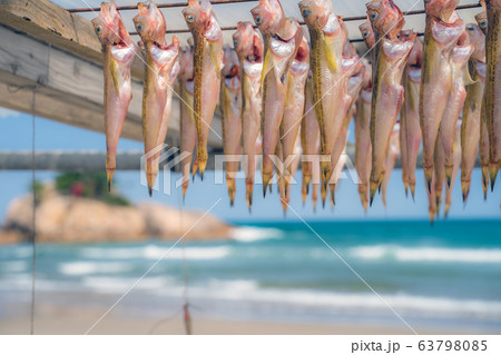 鳥取県の絶景ジオパーク　必見の美しい浦富海岸　山陰海岸国立公園　世界ジオパーク 63798085
