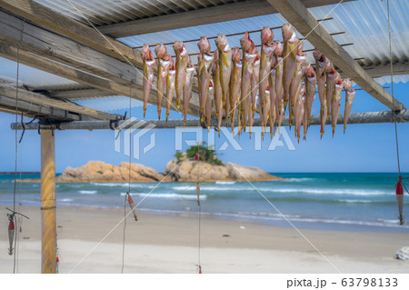 鳥取県の絶景ジオパーク　必見の美しい浦富海岸　山陰海岸国立公園　世界ジオパーク 63798133