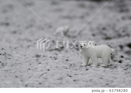 シロクマ Polar bear 北極 ホッキョクグマ 環境 温暖化 エコロジー 動物 コピースペース シロクマ Polar bear 北極 ホッキョクグマ 環境 温暖化 エコロジー 動物 コピースペース 63798280