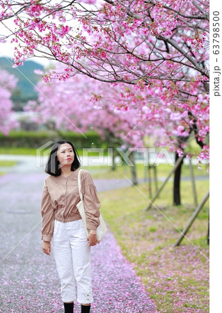 陽光桜 陽光桜 63798500