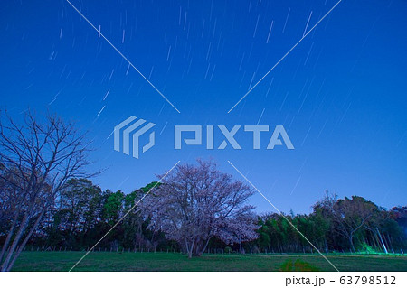 一本桜の星 63798512