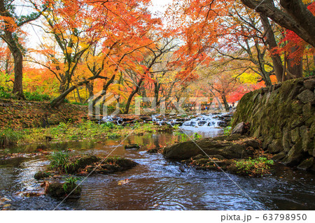 禅雲寺 兜率天 紅葉 63798950