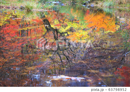 禅雲寺 兜率天 紅葉 63798952