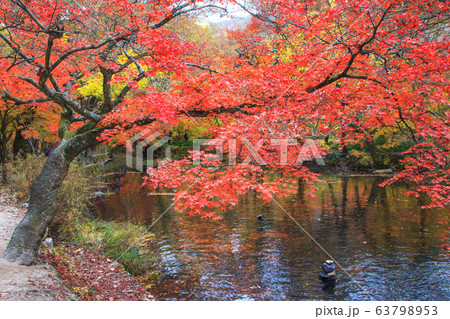 禅雲寺 兜率天 紅葉 63798953