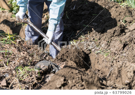 スコップで溝掘り  水道工事　 63799026