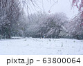桜 雪 家族 雪遊び 庭園 三月 東京 63800064