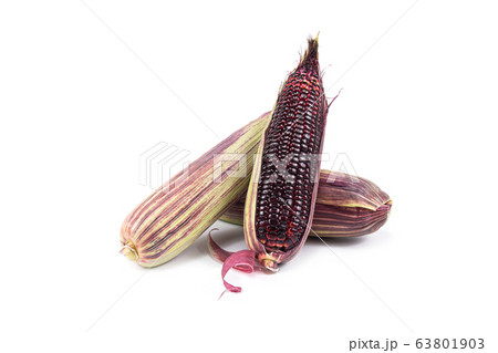 Red sweet corn or Siam Ruby Queen can be eaten fresh isolated on a white background. 63801903