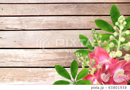 Horizontal nature background with tropical flowers Horizontal nature background with tropical flowers 63801938