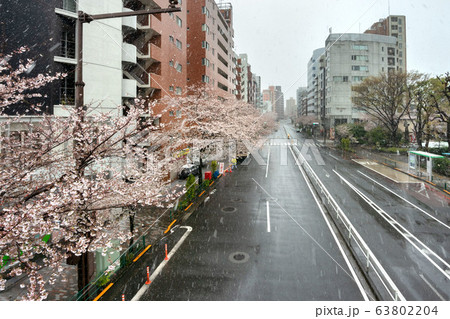 東京の降雪 東京の降雪 63802204