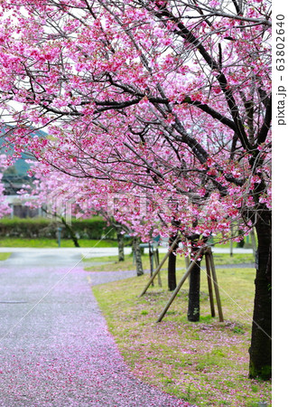 高知工科大 高知工科大 63802640