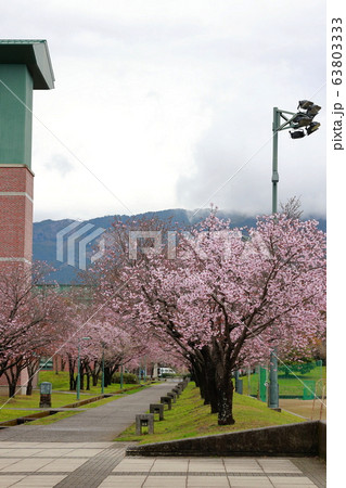 高知工科大 63803333