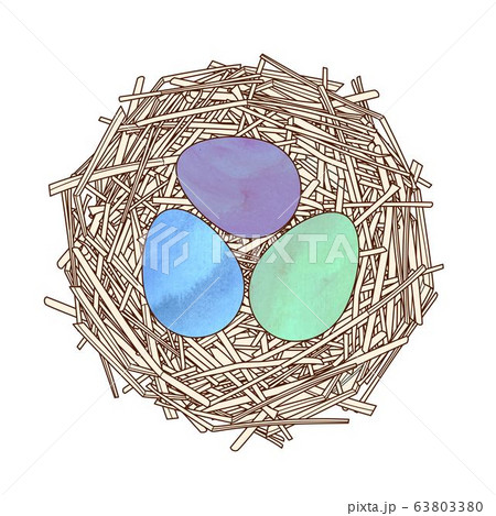 Straw nest with Easter painted eggs. Watercolor Straw nest with Easter painted eggs. Watercolor 63803380
