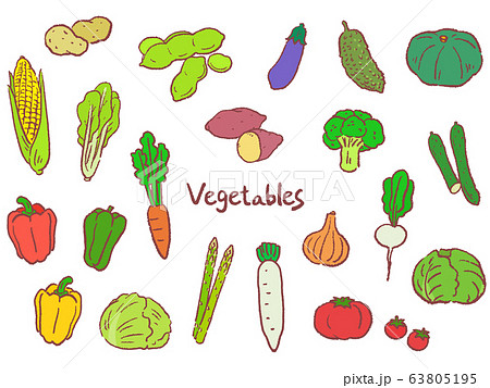 野菜 手描き セット イラスト 野菜 手描き セット イラスト 63805195