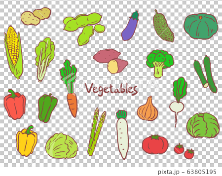 野菜 手描き セット イラスト 野菜 手描き セット イラスト 63805195