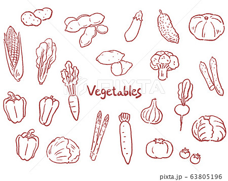 野菜　手描き　線画　セット　イラスト　 63805196