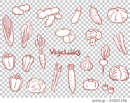 野菜　手描き　線画　セット　イラスト　 63805196