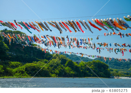 相模川沢山のこいのぼり 63805275