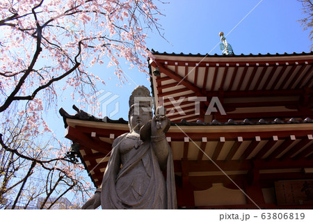 新井薬師の薬師霊堂と観世菩薩像(2) 新井薬師の薬師霊堂と観世菩薩像(2) 63806819