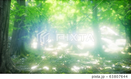 Morning in the Misty Spring Forest with Sun Rays Morning in the Misty Spring Forest with Sun Rays 63807644
