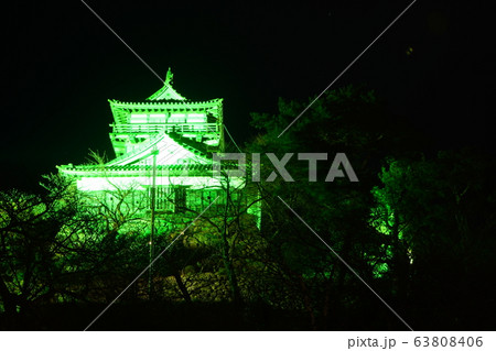 丸岡城　緑ライトアップ　世界緑内障週間 63808406