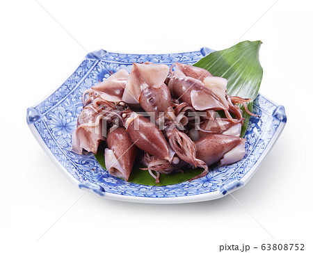 ボイルしたほたるいか ボイルしたほたるいか 63808752