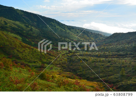 早朝の山田峠 早朝の山田峠 63808799