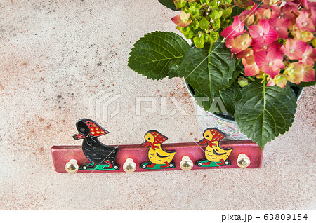 Vintage children coat rack duck and hydrangea 63809154