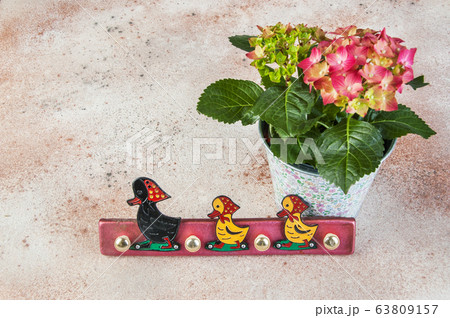 Vintage children coat rack duck and hydrangea 63809157
