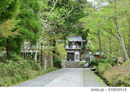 大山寺本堂への山門 大山寺本堂への山門 63809410
