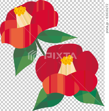 茶花 茶花 63810272