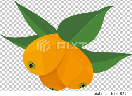 びわ びわ 63810274