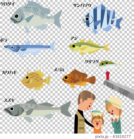 海で釣れる 身近な魚のイラスト素材