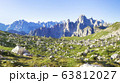 Traveling to beautiful Alps in summer 63812027