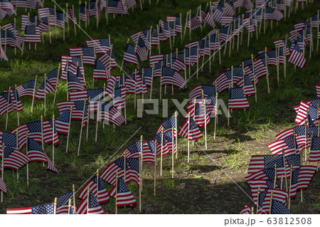 Many usa flags on green field 63812508