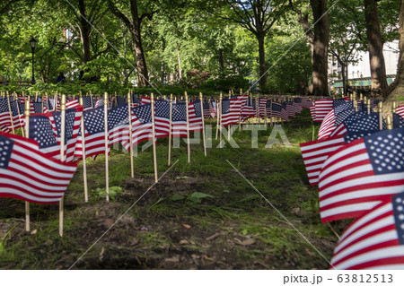 Many usa flags on green field 63812513