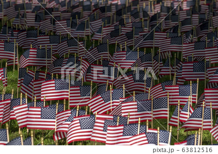 Many usa flags on green field Many usa flags on green field 63812516