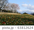 花の丘 63812624