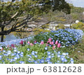 花畑 63812628