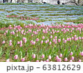 花の丘 63812629