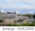 桜 63812630