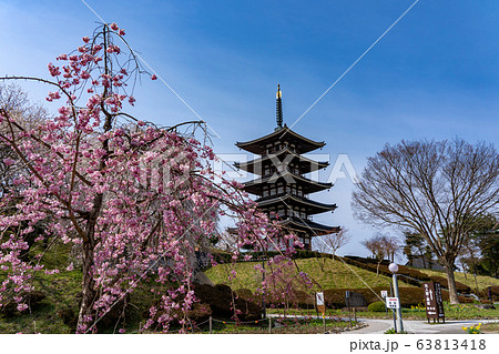 福島県二本松市 春の安達ヶ原ふるさと村 五重塔 福島県二本松市 春の安達ヶ原ふるさと村 五重塔 63813418