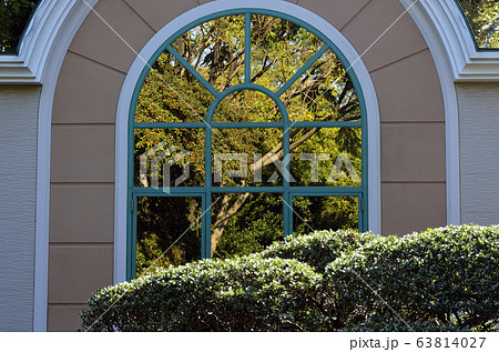 木立を映す窓 63814027
