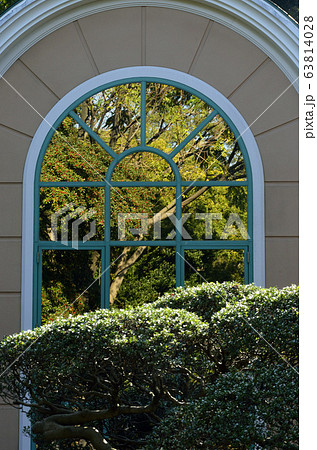 木立を映す窓 63814028